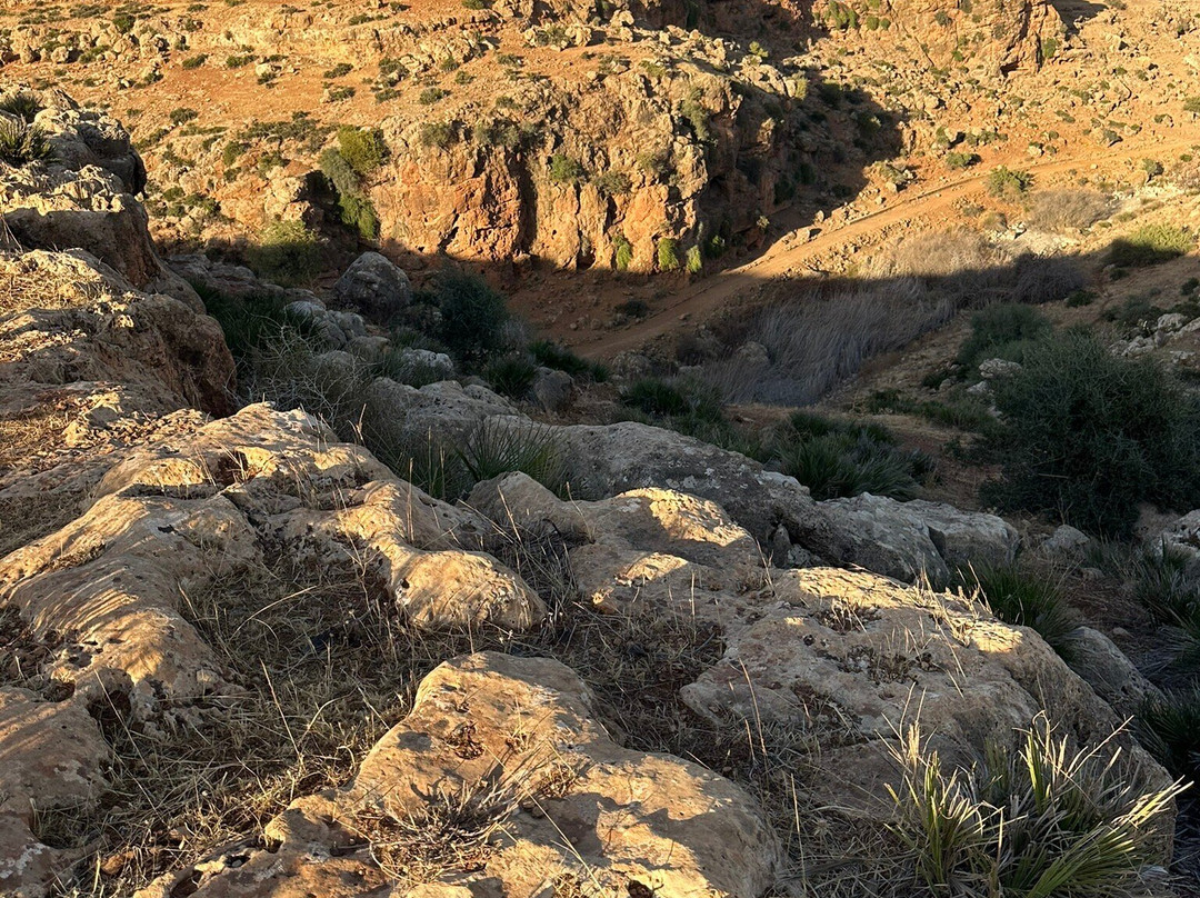 Bachir & Freres Tours-非斯必去景点