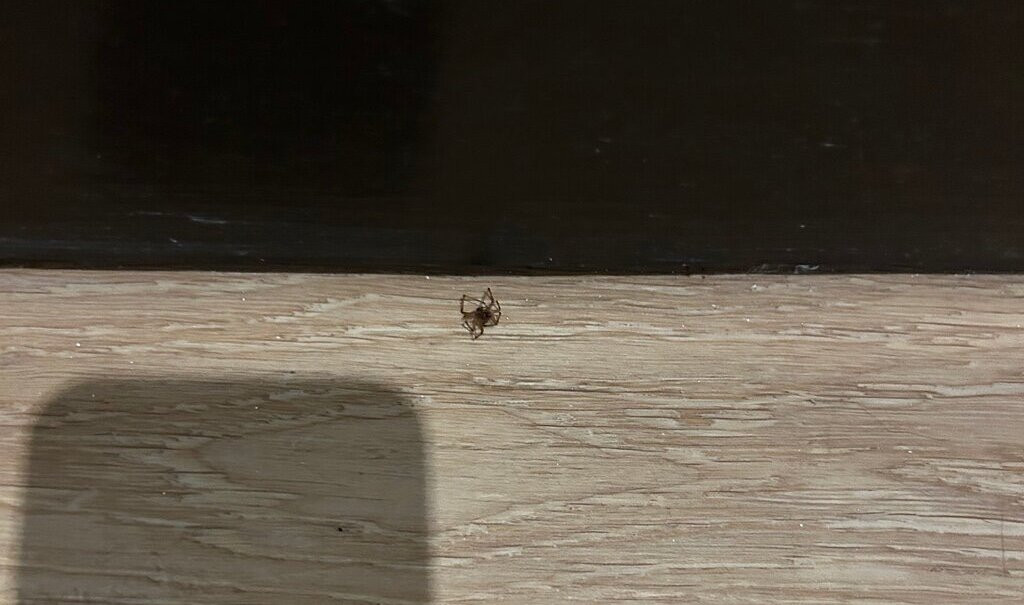 Hotel Inglaterra - Estoril主图