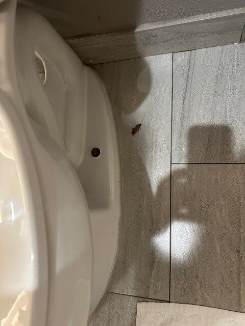 La Quinta Inn & Suites by Wyndham Kingsville主图