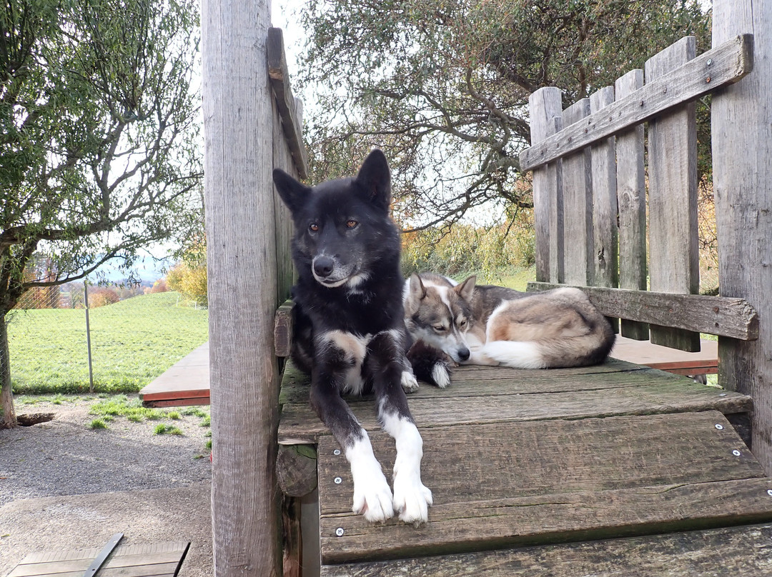 Fischer Adventures Day Tours-圣加仑必去景点