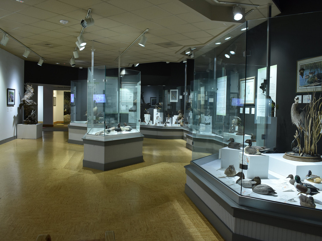 Ella Sharp Museum-Jackson必去景点