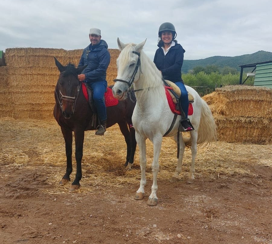 Entre Toros y Caballos-科尔多瓦必去景点