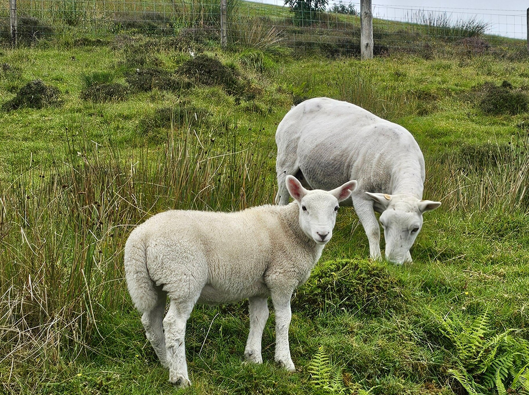 Talisker Distillery-Carbost必去景点
