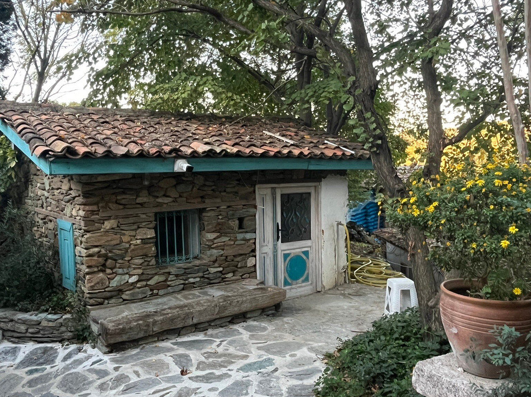 Nisanyan Hotel主图