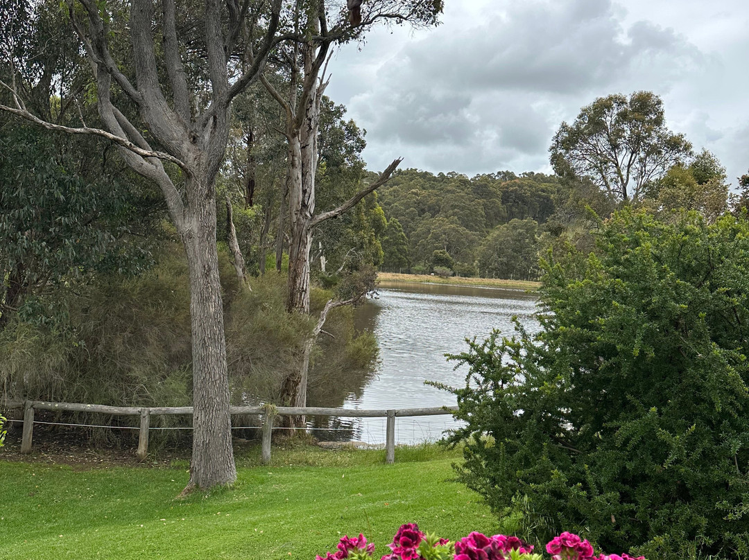 Henty Lodge Bed & Breakfast主图