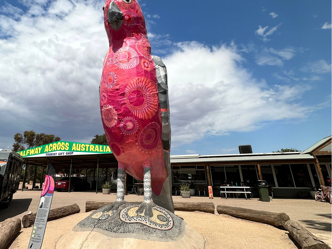 The Big Galah-Kimba必去景点