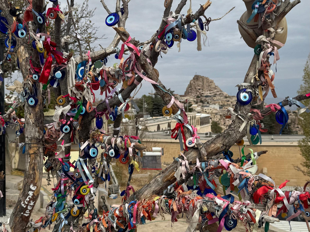 Excursion Mania-巴穆卡丽必去景点