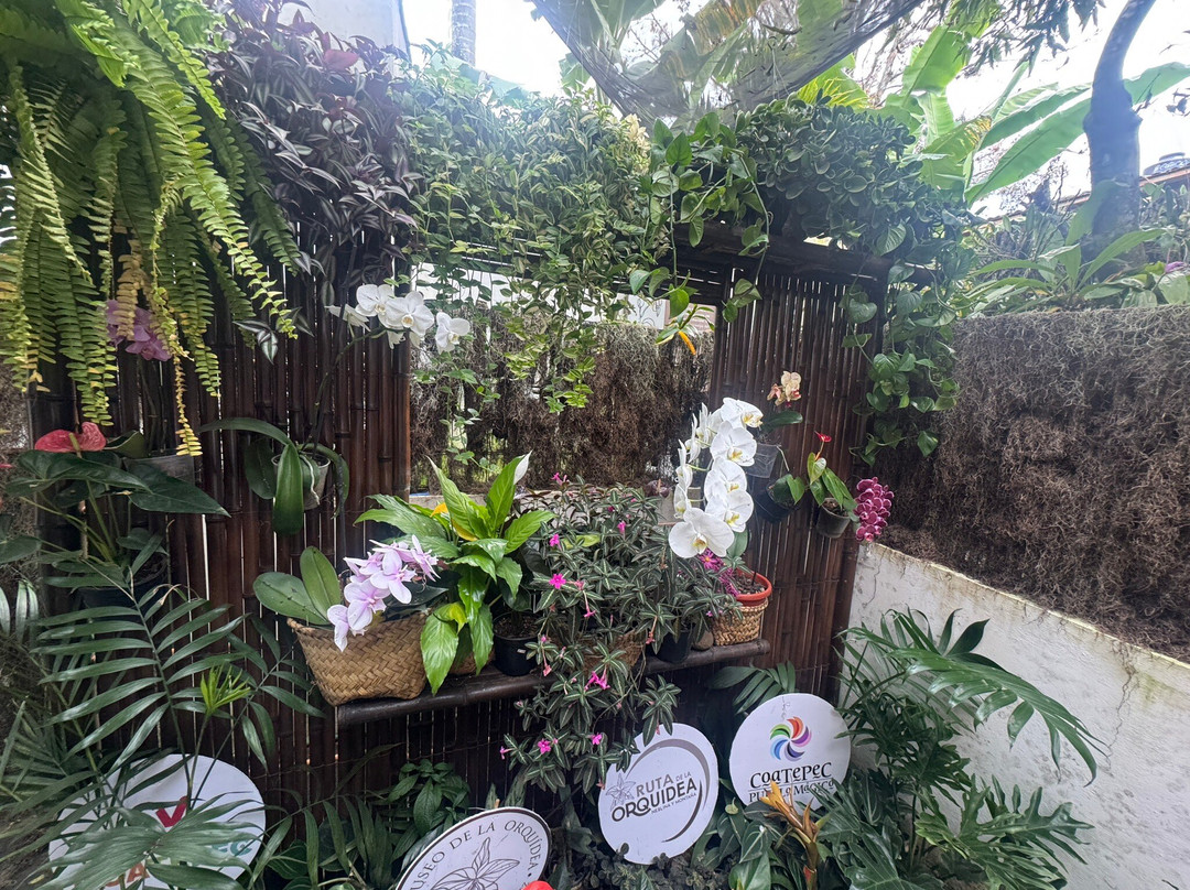 Museo De La Orquídea-科特佩必去景点