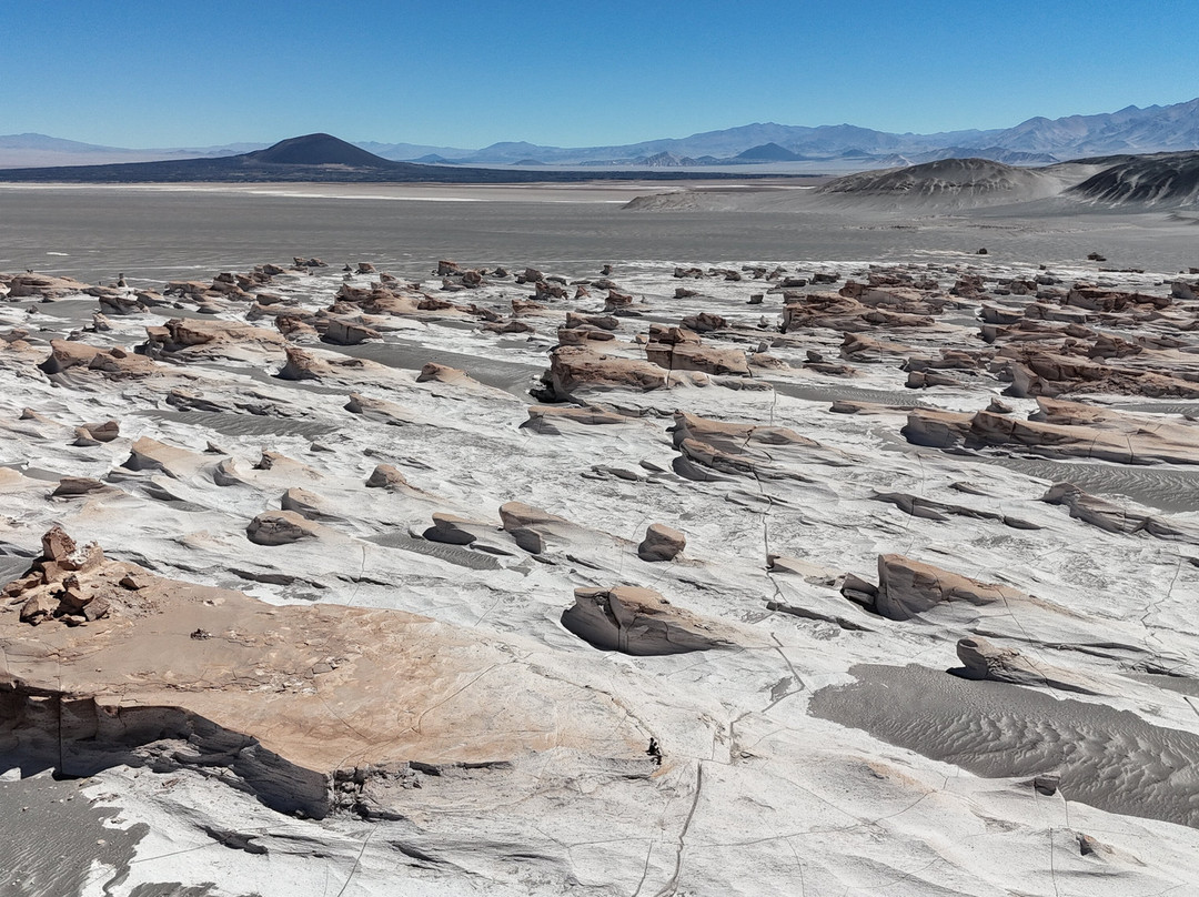 Poncho Tours-萨尔塔必去景点