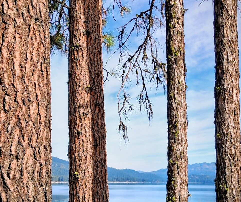 Rotary Park-McCall必去景点