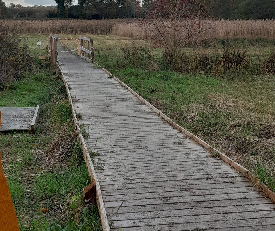 Mannington Hall-诺威奇必去景点