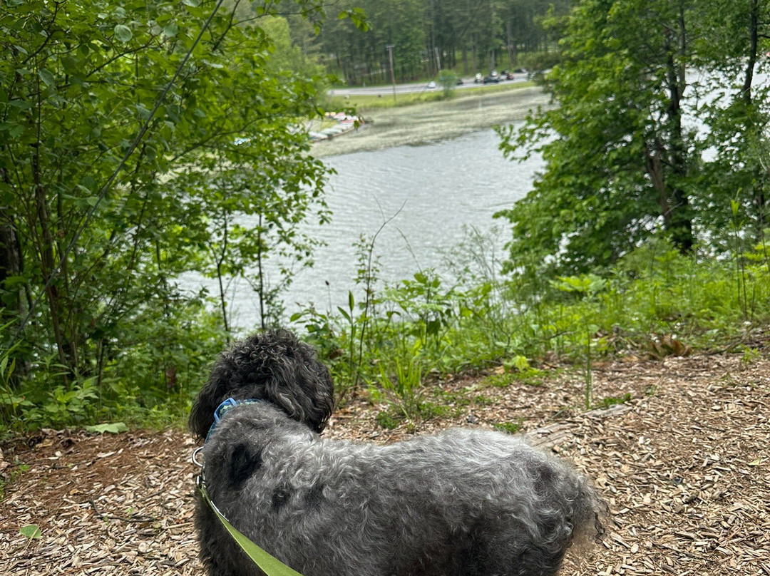 Stone Valley Recreation Area-宾夕法尼亚州学院必去景点