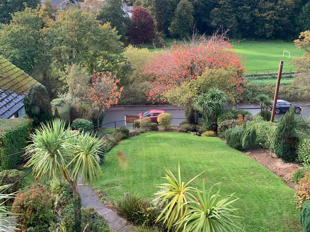 Bryn Derwen Guest House主图