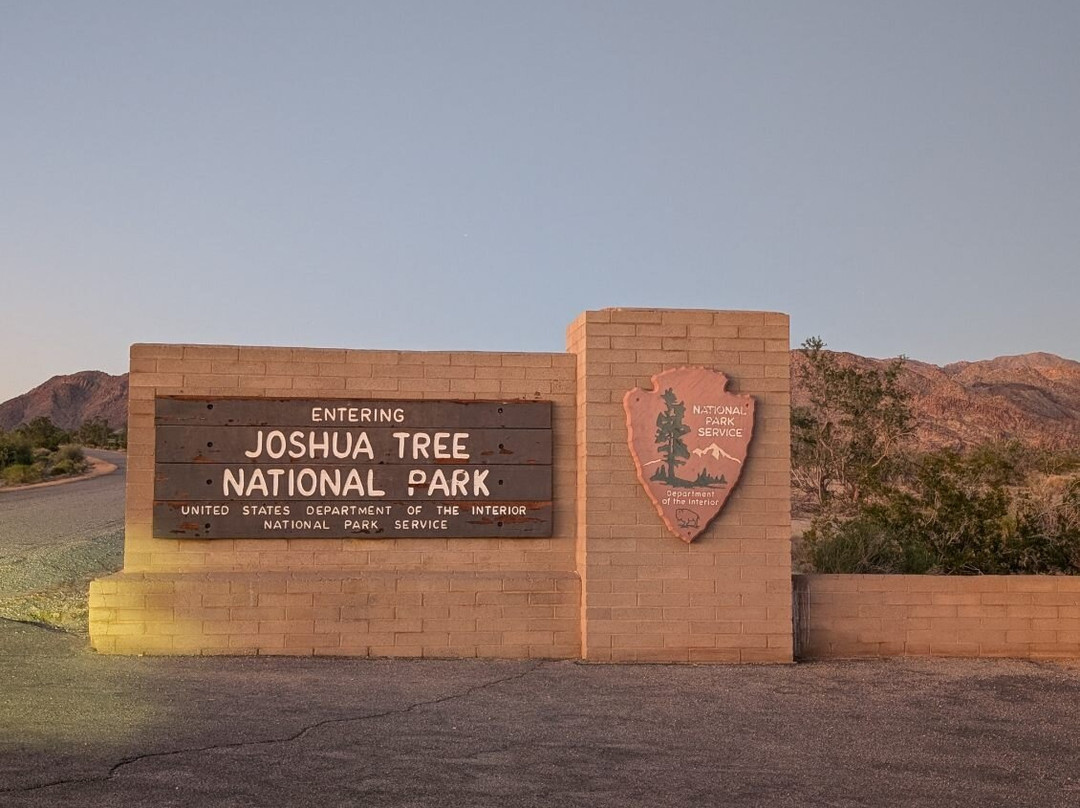 Joshua Tree National Park-约书亚树必去景点