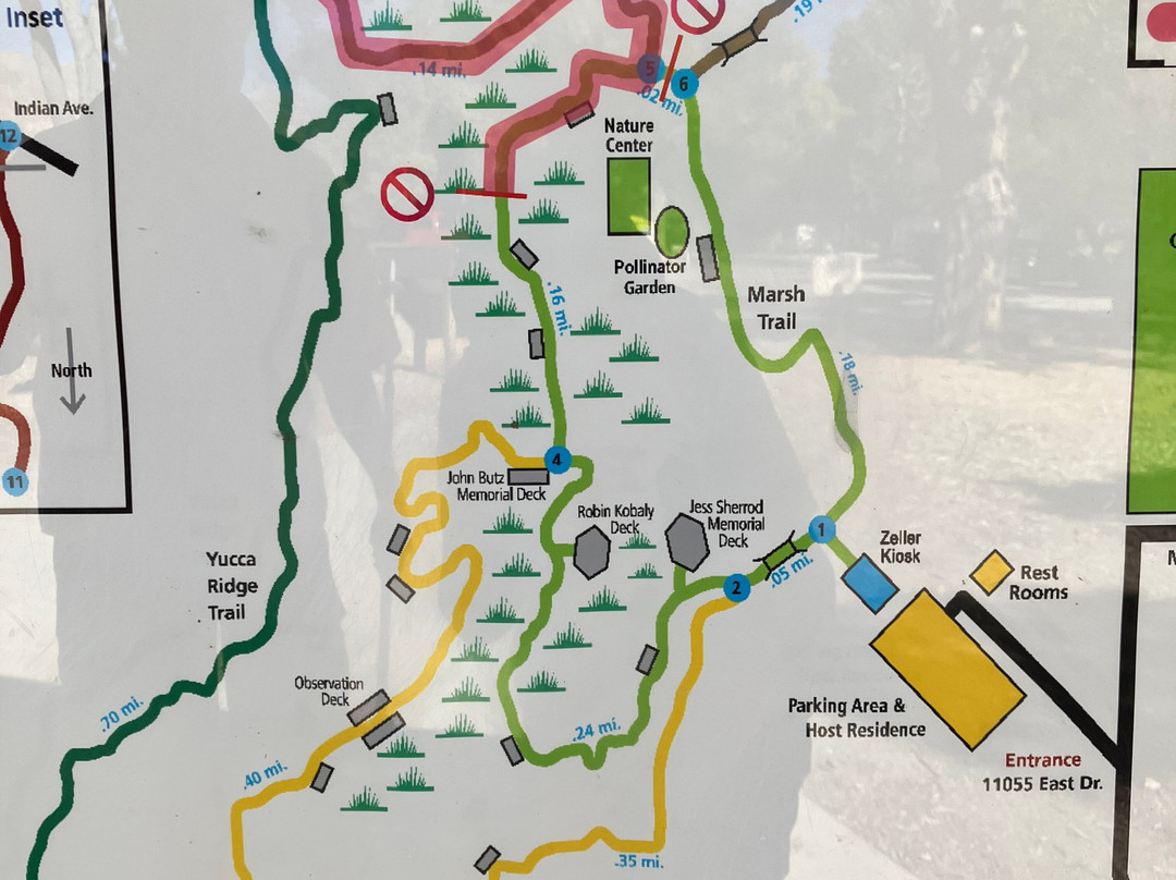 Big Morongo Canyon Preserve-Morongo Valley必去景点