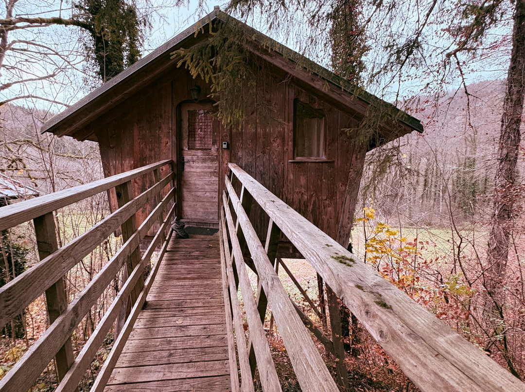 Domaine de Syam主图