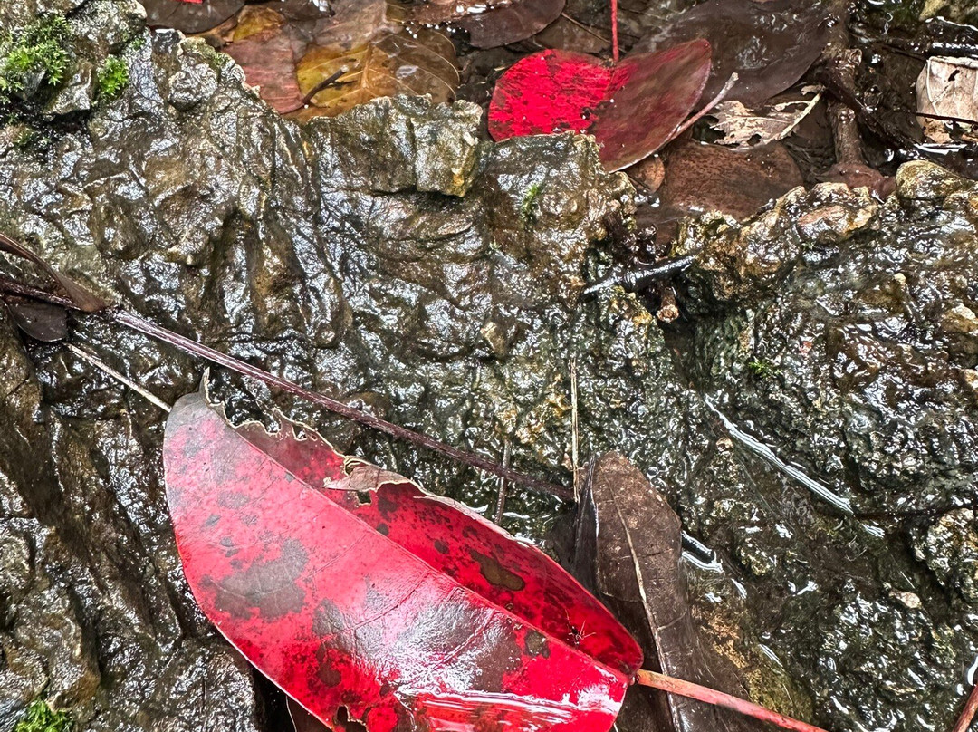天星桥景区-镇宁布依族苗族自治县必去景点