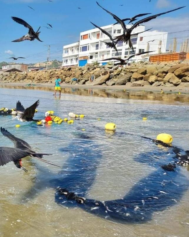 Hotel Ola Bella主图