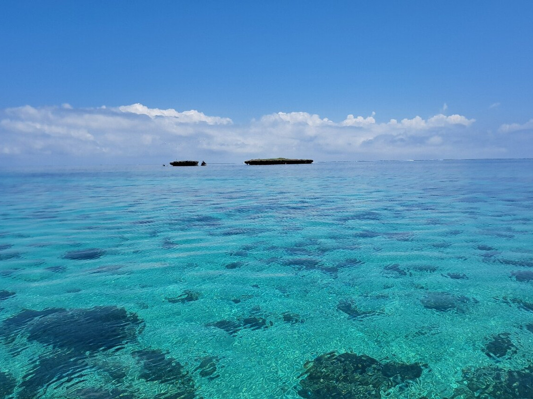 Wasini Trips-Wasini Island必去景点