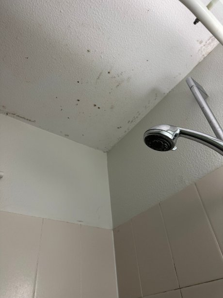 沙泰勒罗宜必思快捷酒店-官方