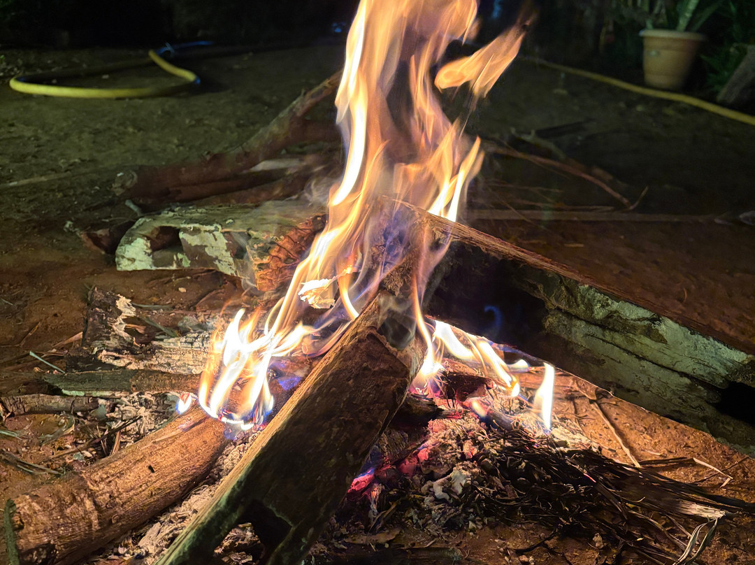 Bhimson’s Agro Park & Tourism-Gondia必去景点