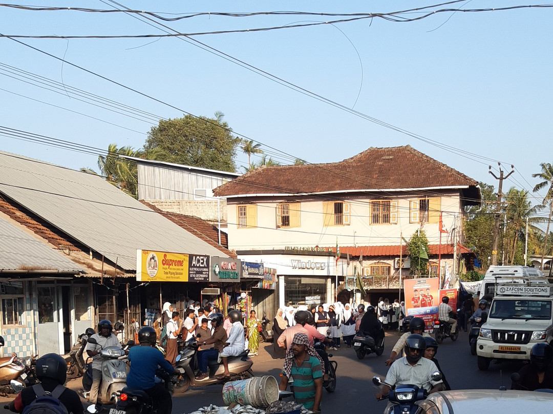 坎纳诺尔酒店住宿-Kannur Beach House