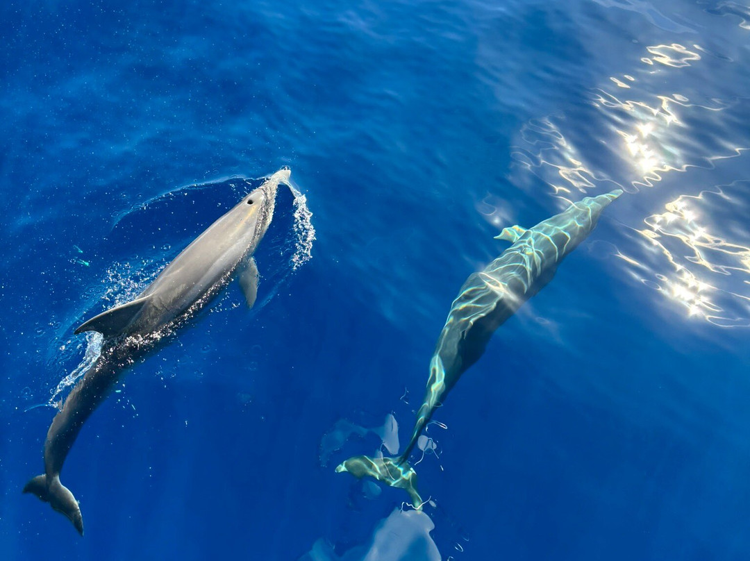 Tina Excursiones-Valle Gran Rey必去景点