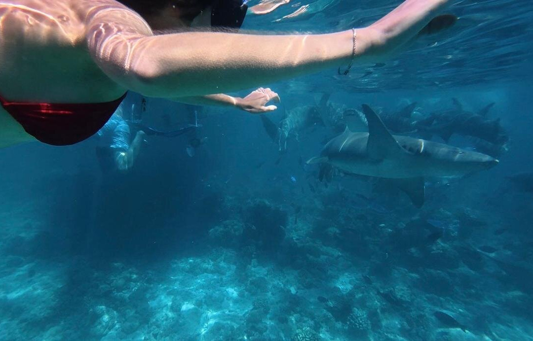 Murakabay Maldives Dive Center-乌库拉斯必去景点