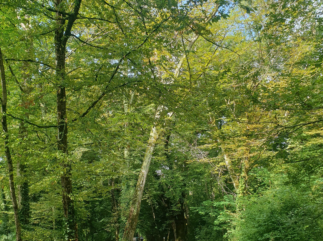 Prieuré de Cayac-Gradignan必去景点