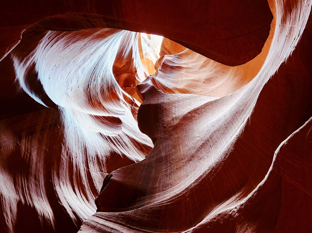 Antelope Canyon Tours by Roger Ekis-佩吉必去景点