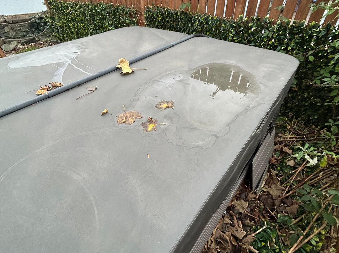 The Grey Gull Hotel主图