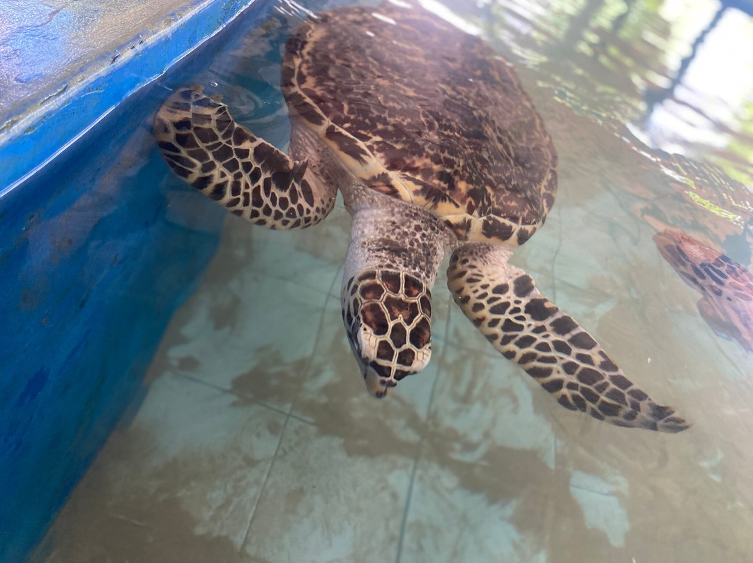 Charli Tours-亚洪加拉必去景点