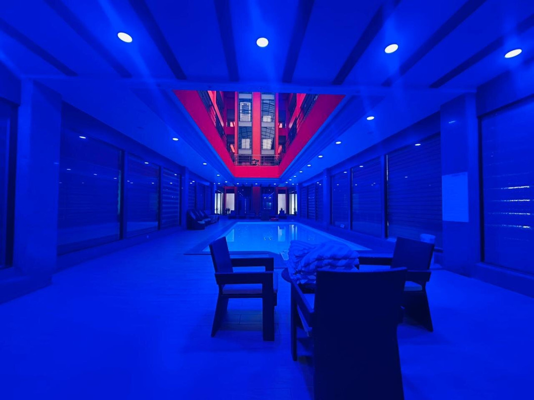 The Radiant Swan主图