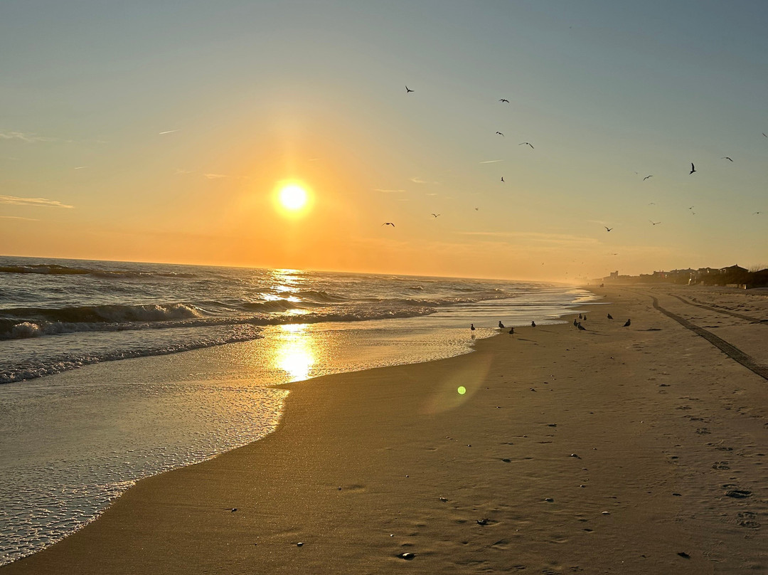 Whaler Inn Beach Club主图