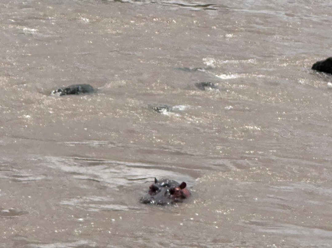 The Adventures Feet-布兰岱必去景点