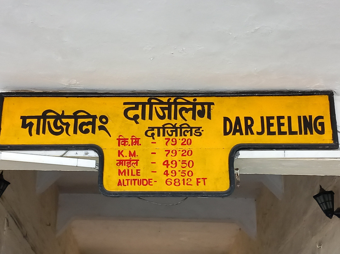 Darjeeling Toy Train Maybe Cancelled-大吉岭必去景点