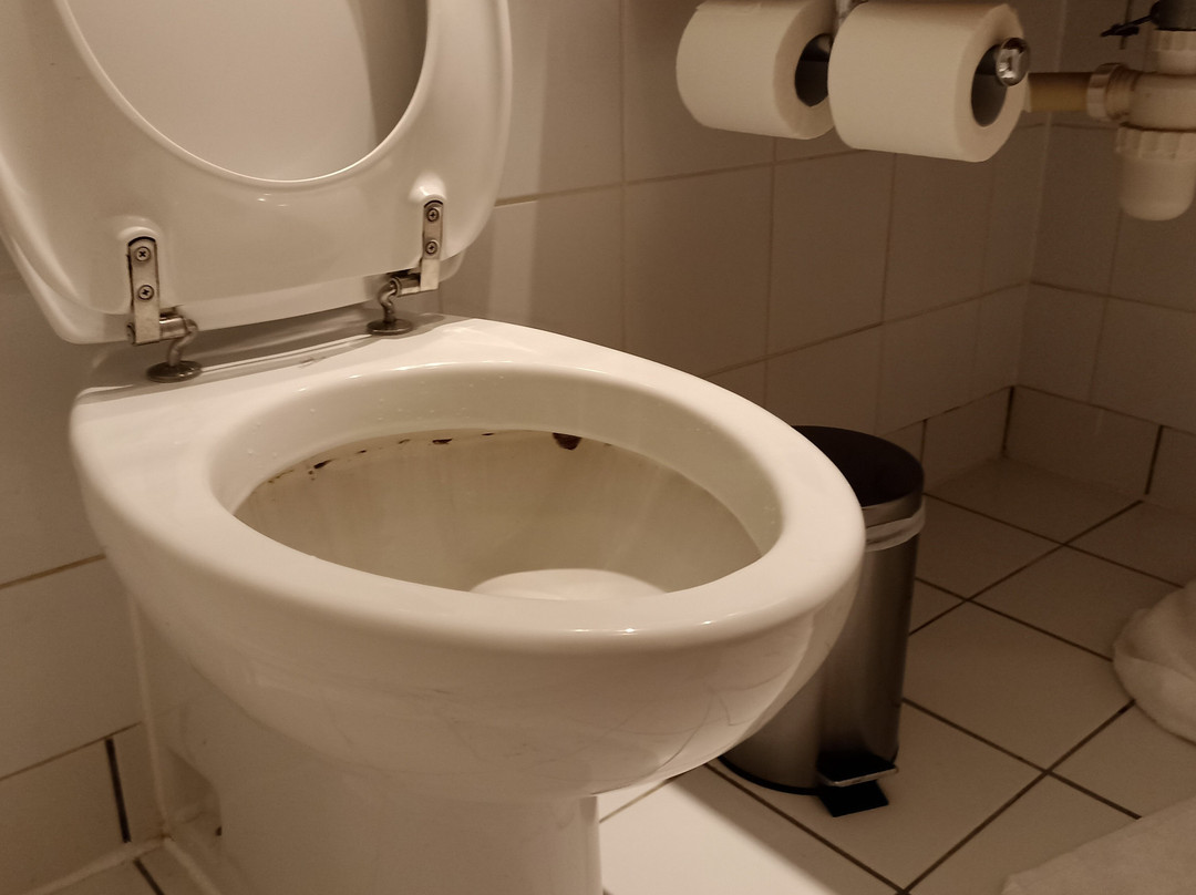 阿尔维斯顿庄园麦克唐纳德酒店主图