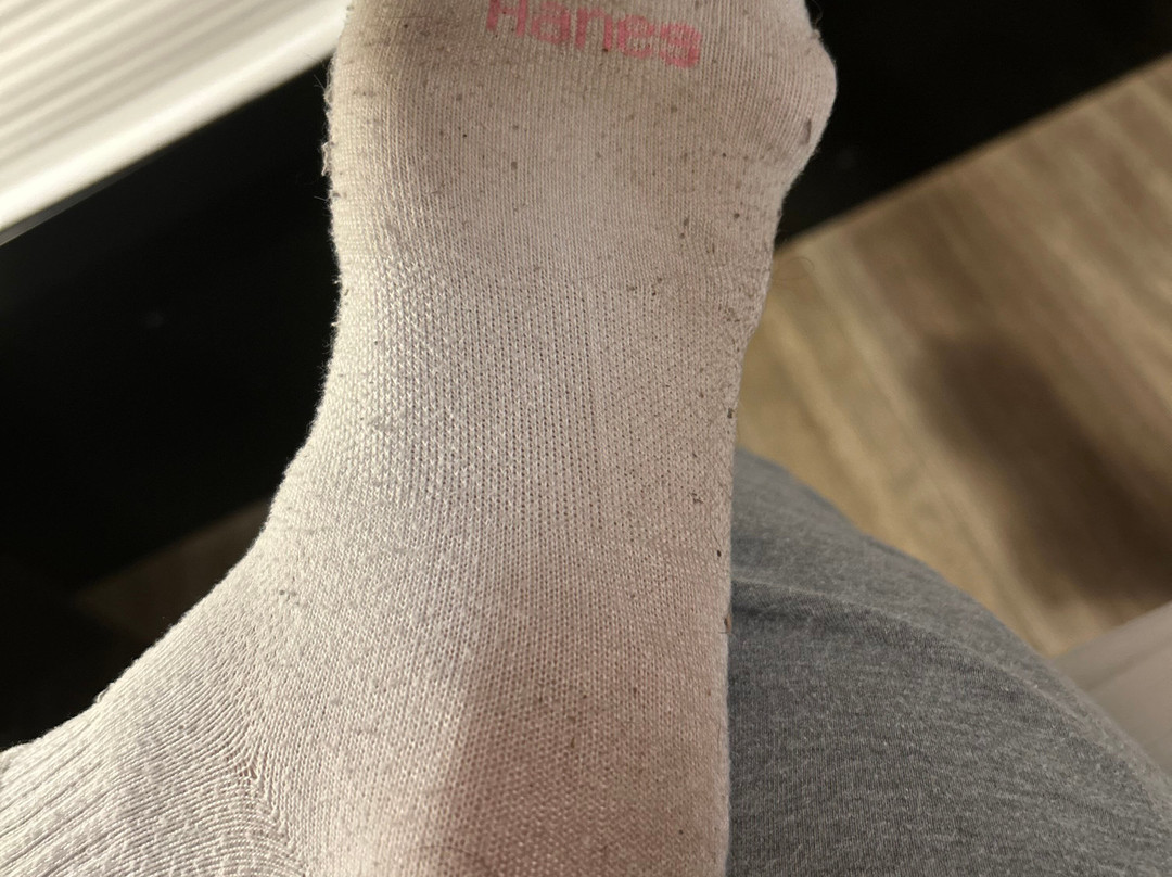 Days Inn by Wyndham Alexander City主图