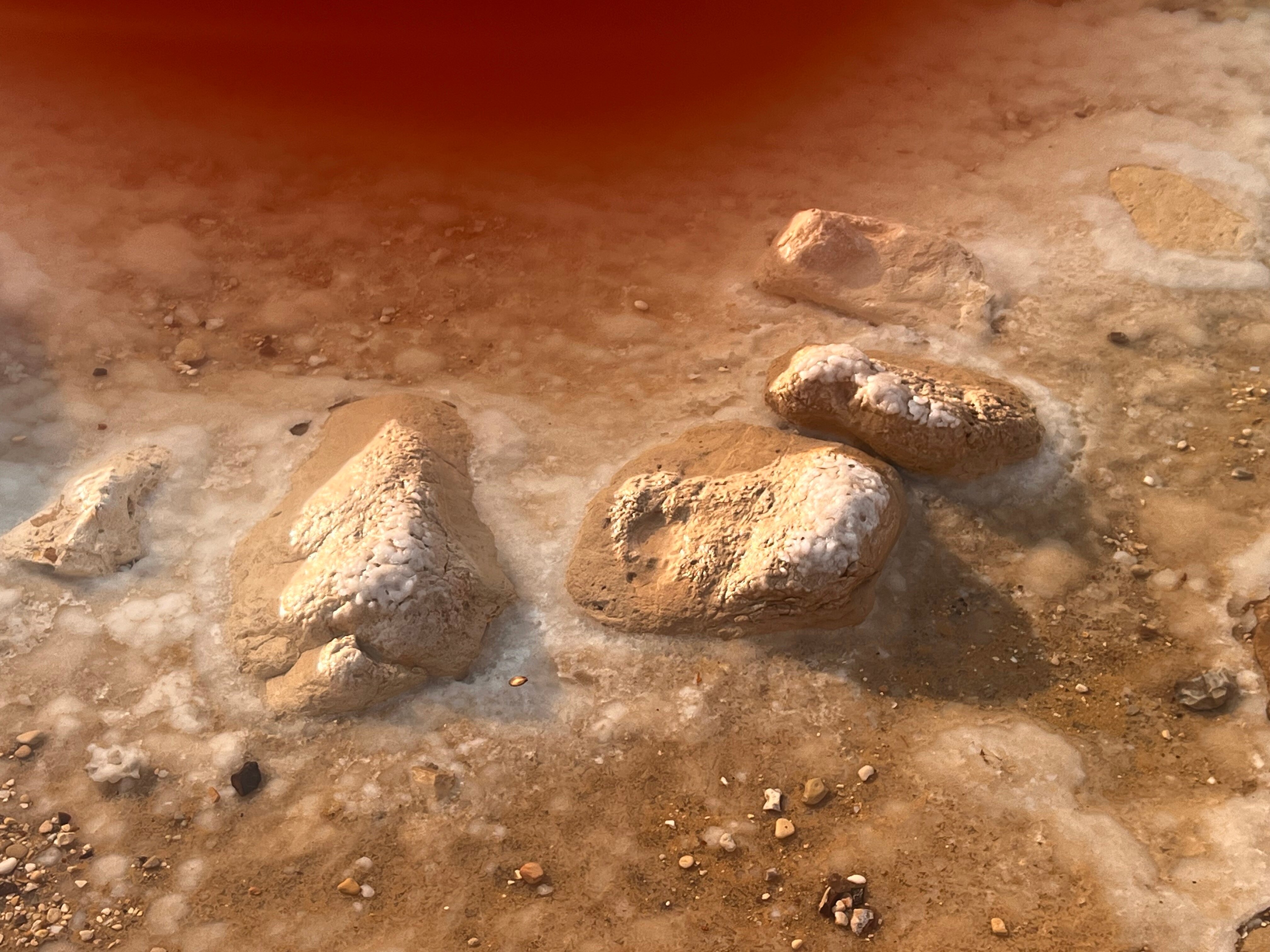 Lot Spa Hotel-官方