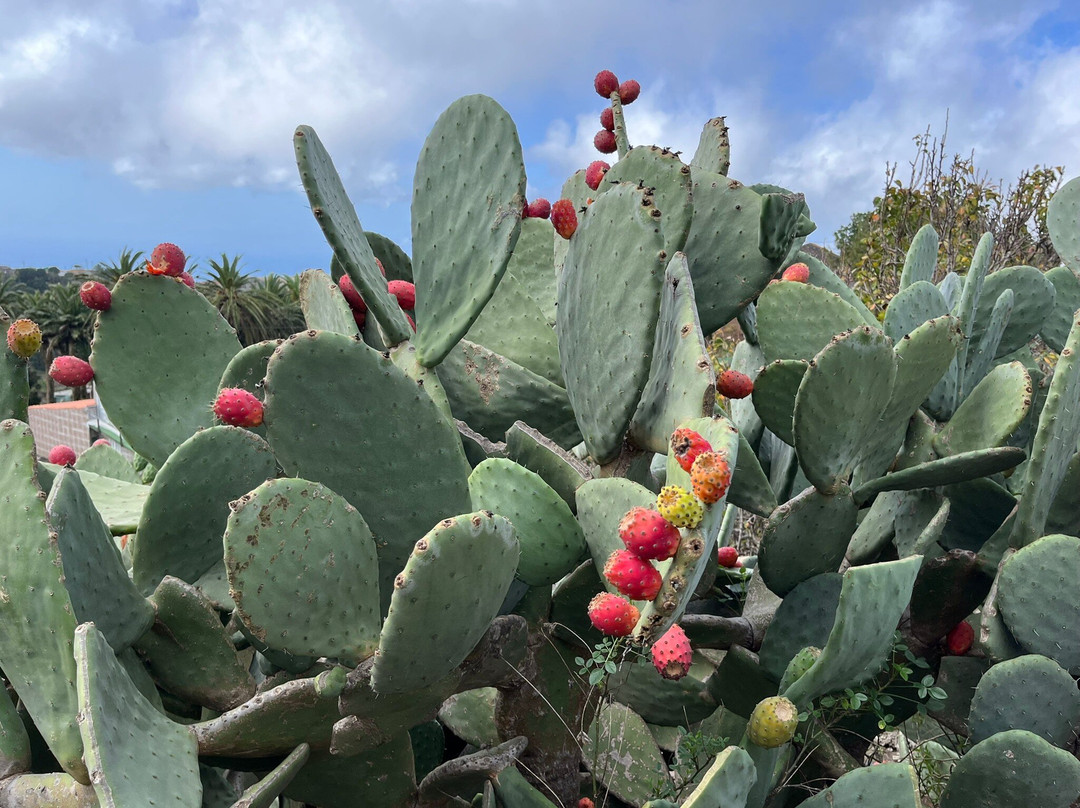 Timah-La Puntilla必去景点