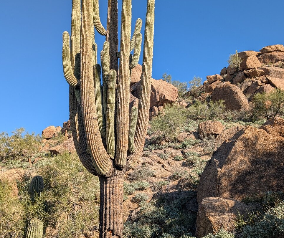 Pinnacle Peak Park-斯科茨代尔必去景点