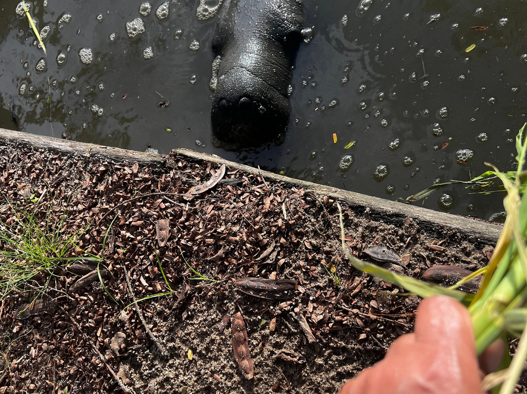 Guyana National Park-乔治城必去景点