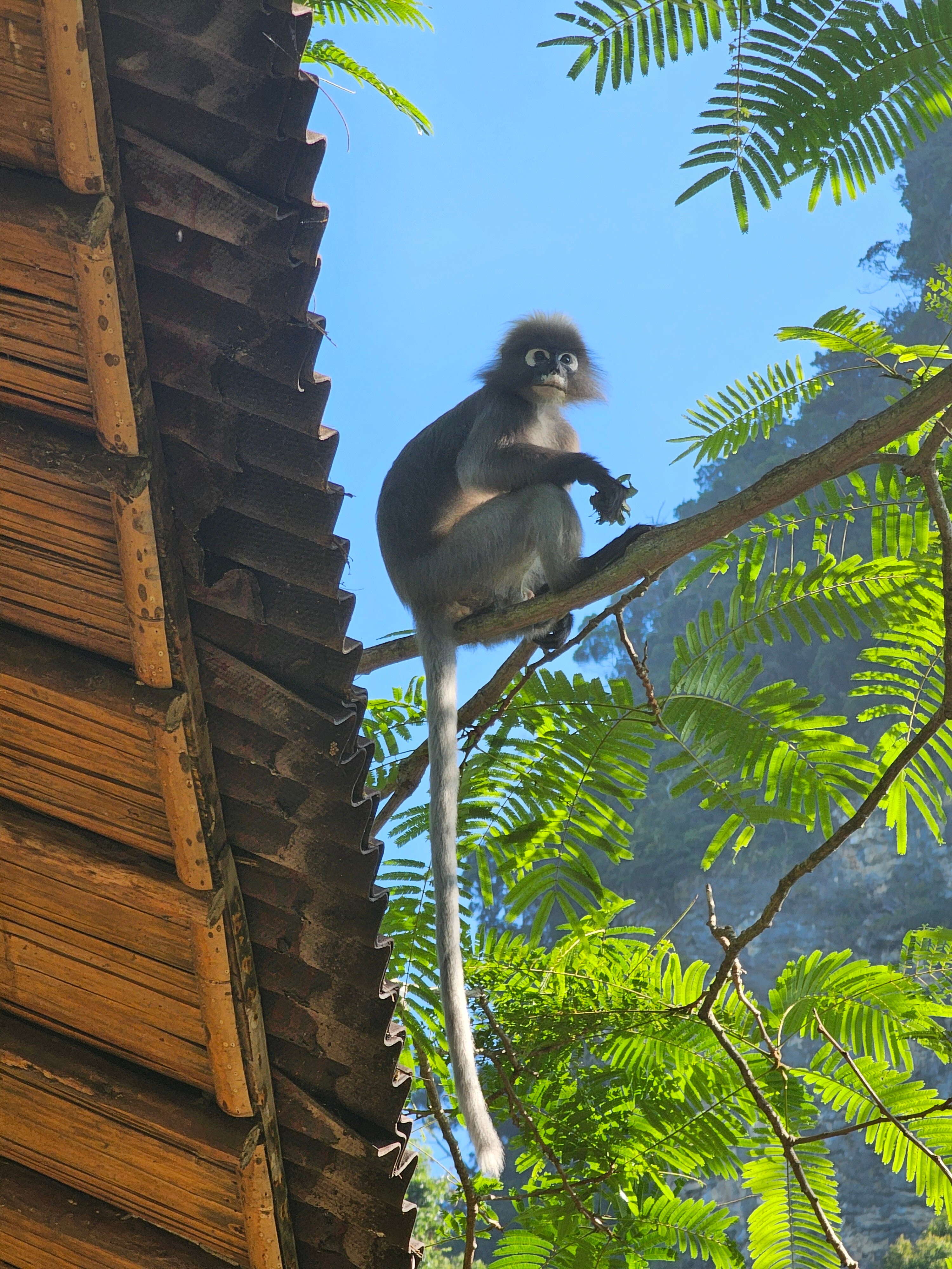 瑞尔威景观度假村-官方