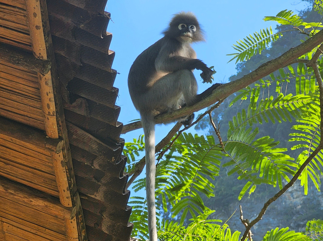 瑞尔威景观度假村主图