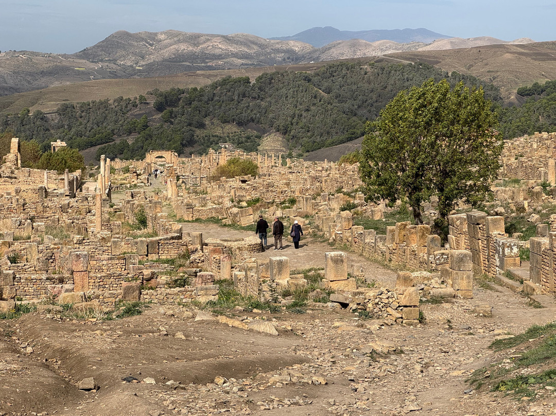 Roman Ruins of Djemila-杰米拉必去景点