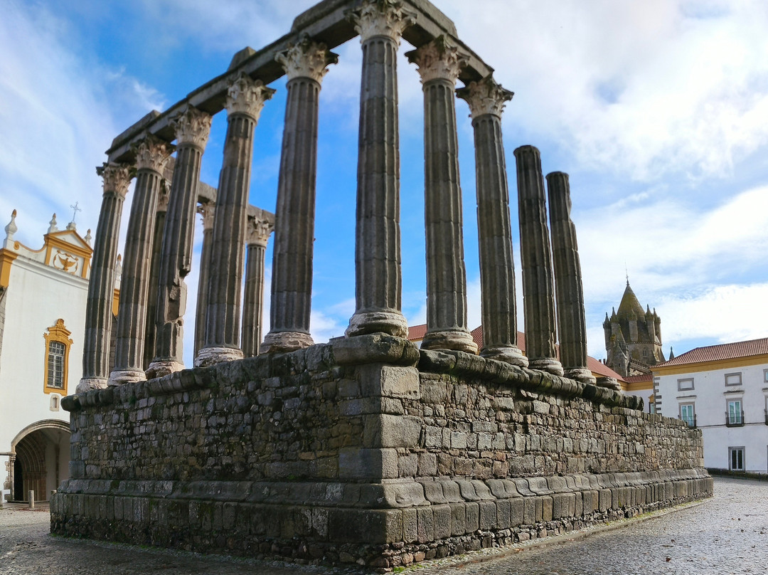 Grand Rota Tours - Portugal-波尔图必去景点