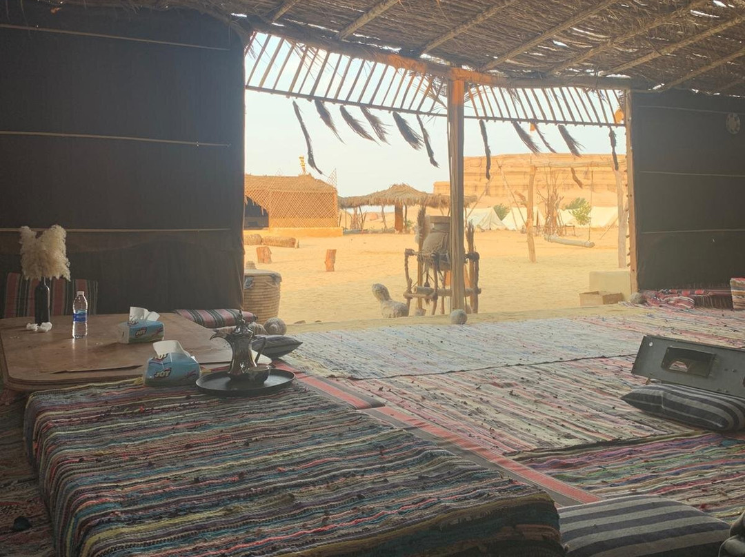 Cairo Top Tours-开罗必去景点