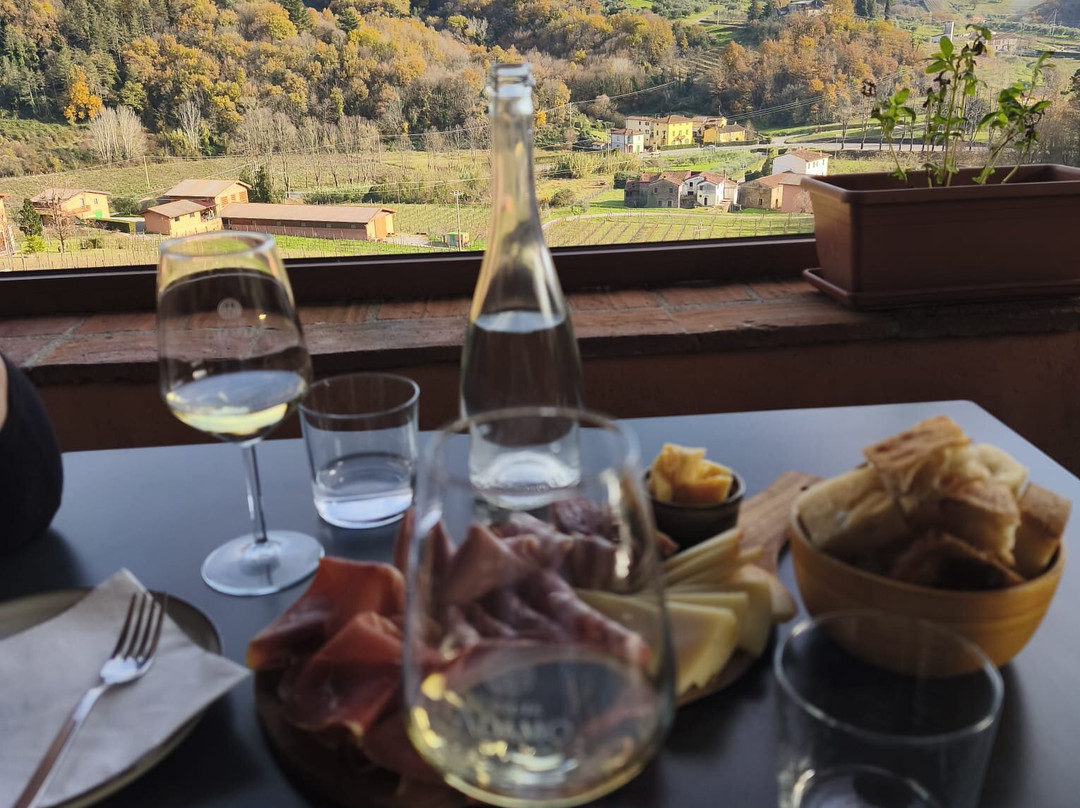 Tenuta Adamo Winery-卢卡必去景点