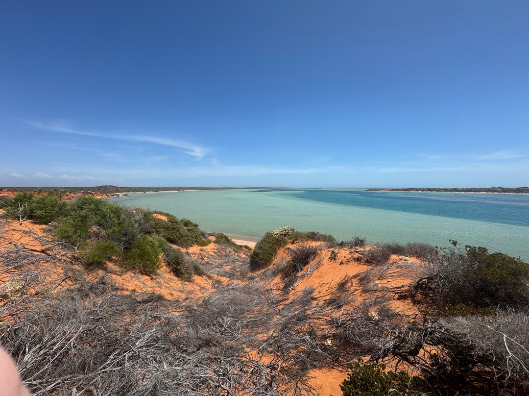 Shark Bay Coastal Tours-德纳姆必去景点