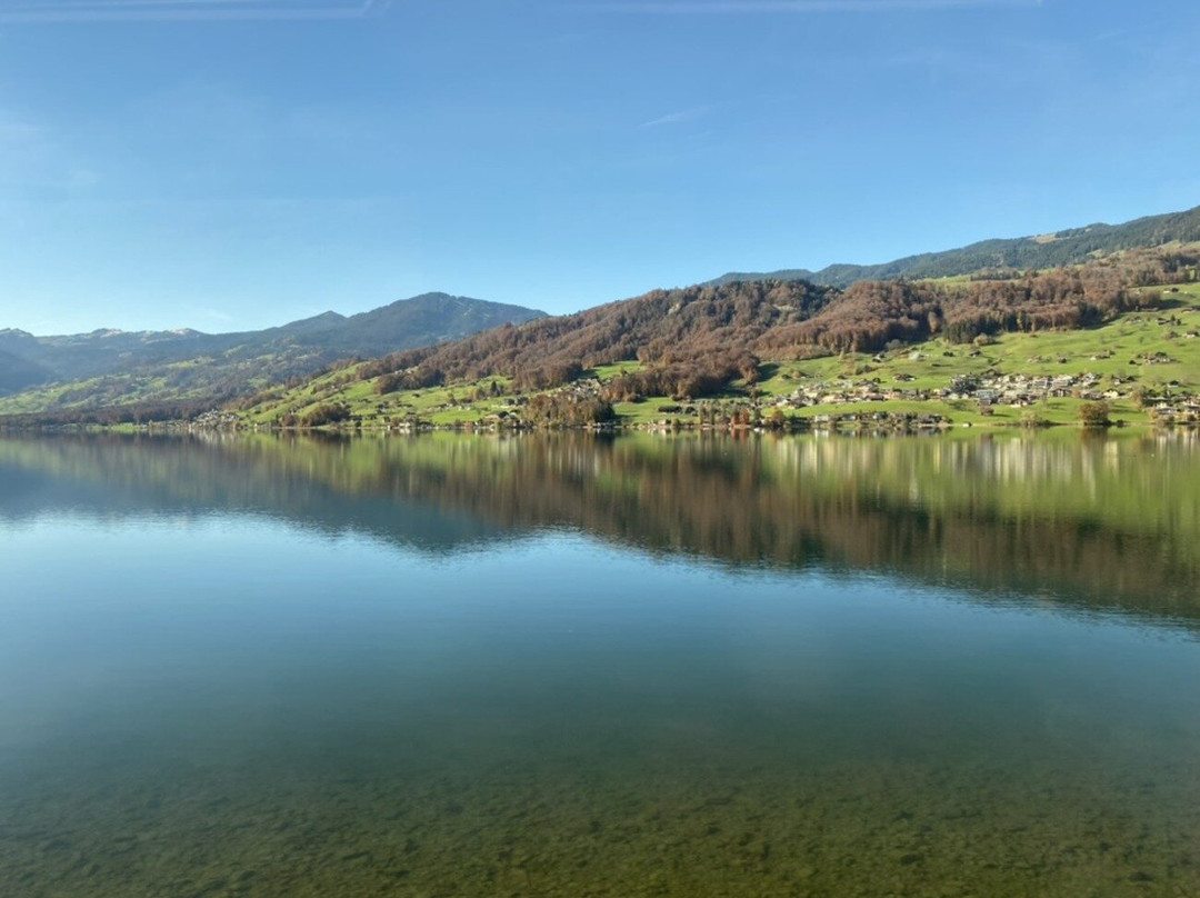 Switzerland Viva Tours